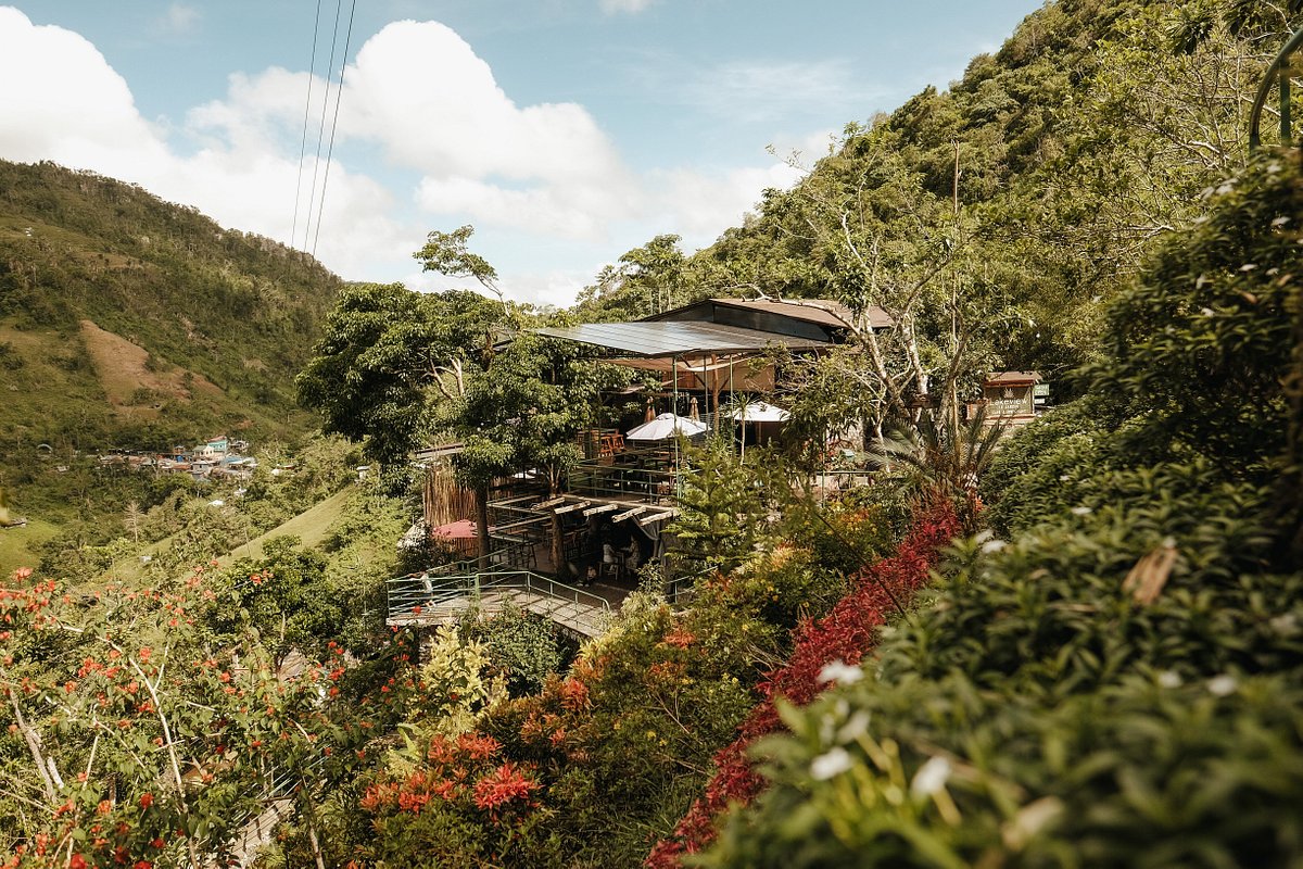 THE 10 BEST Restaurants in Cebu City - Updated March 2025 - Tripadvisor