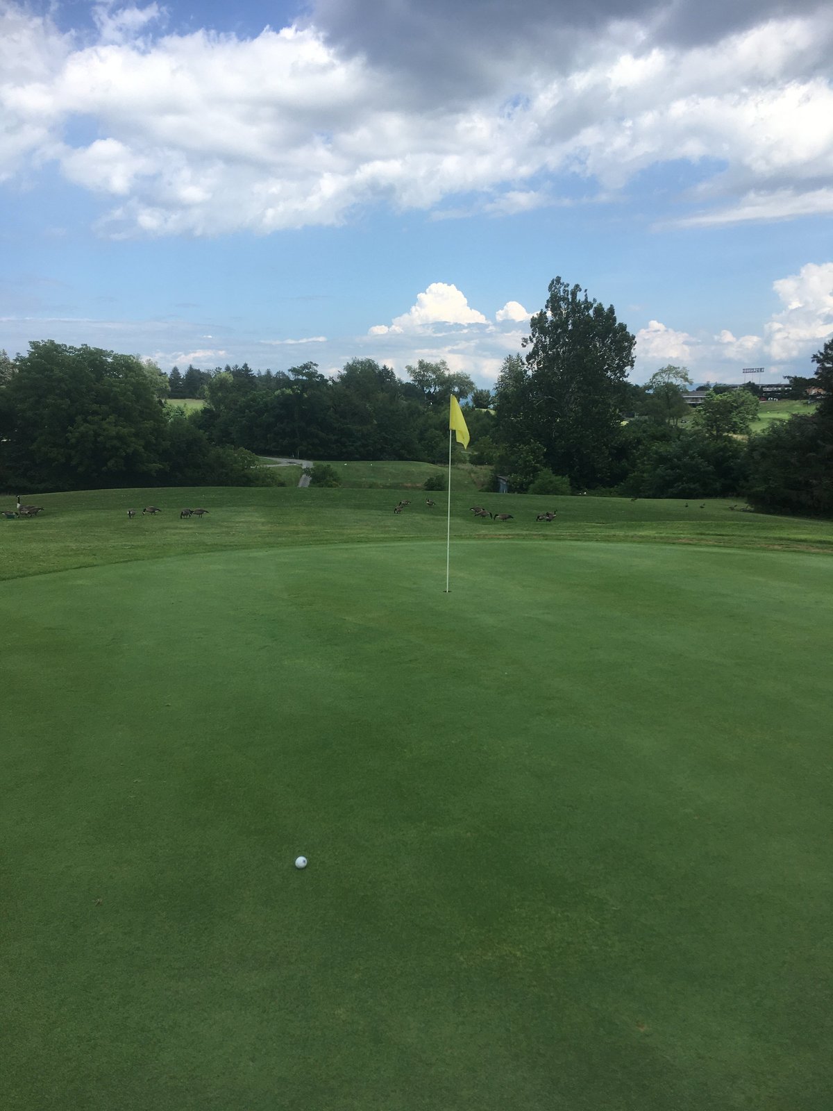 Ingleside Golf Club (Staunton) All You Need to Know BEFORE You Go