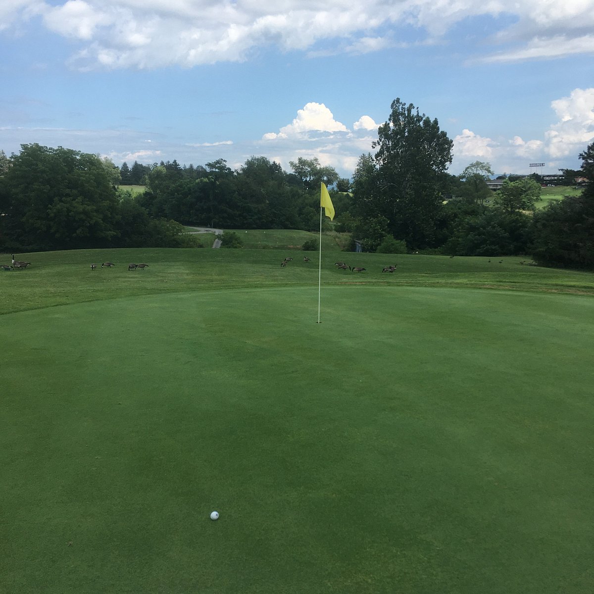 Ingleside Golf Club (Staunton) All You Need to Know BEFORE You Go