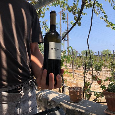 A man holding a bottle of Aidani wine from santorini