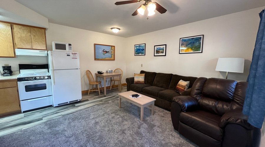 Deluxe room with sofa sleeper