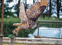 Find Us  Hawkridge Bird of Prey Centre