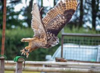 Find Us  Hawkridge Bird of Prey Centre