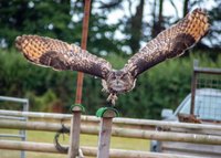 Find Us  Hawkridge Bird of Prey Centre