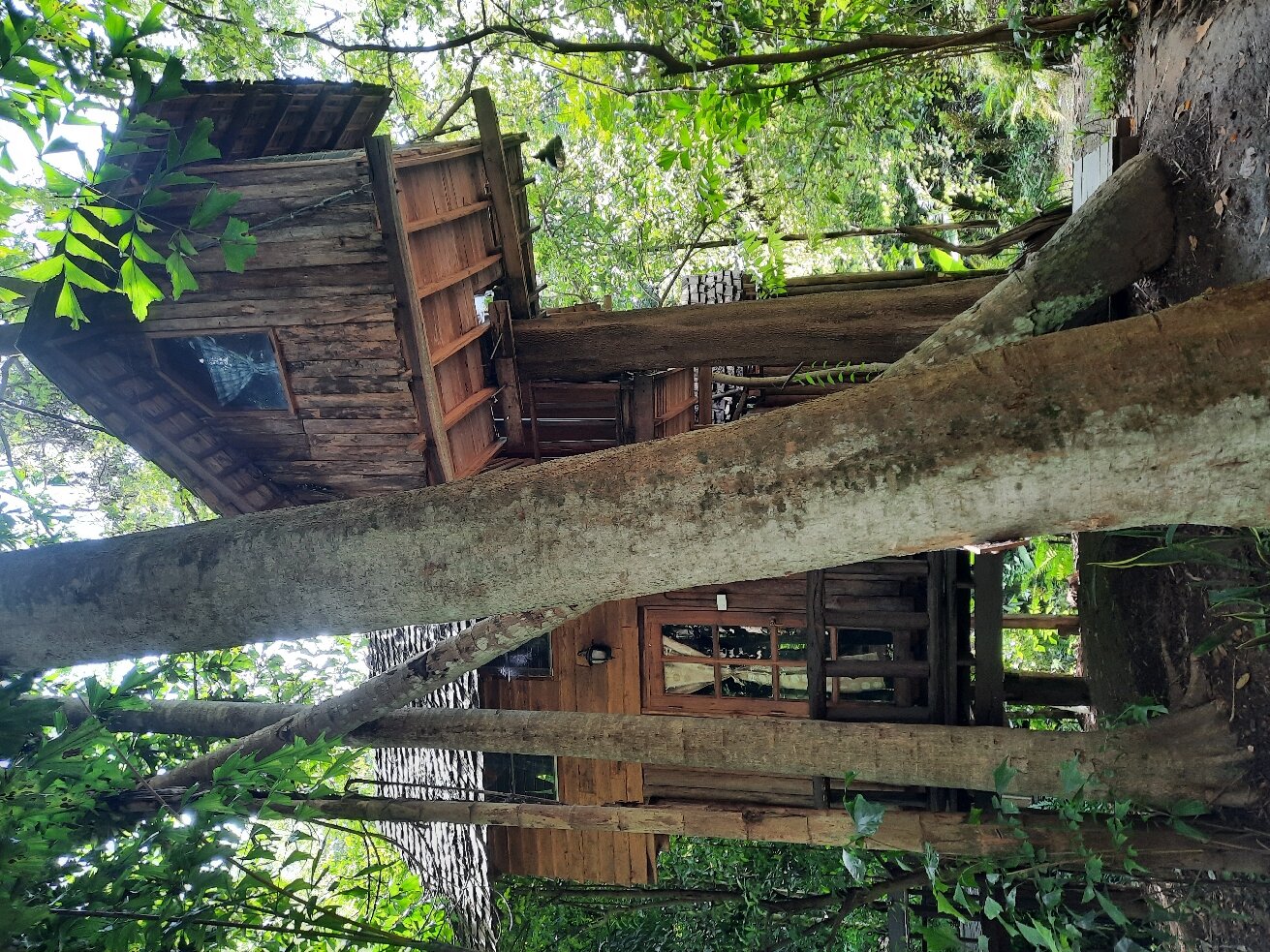 RABEANG PASAK TREE HOUSE RESORT: Bewertungen & Fotos (Provinz Chiang ...