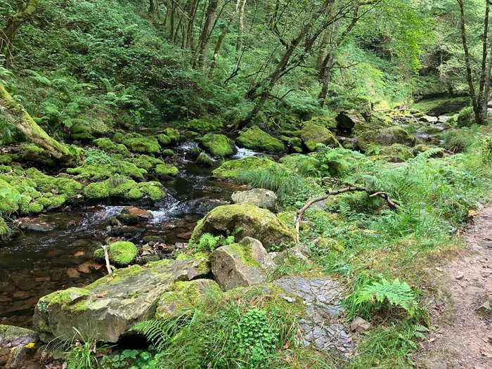 Imagen 7 de Cascada del Cioyo