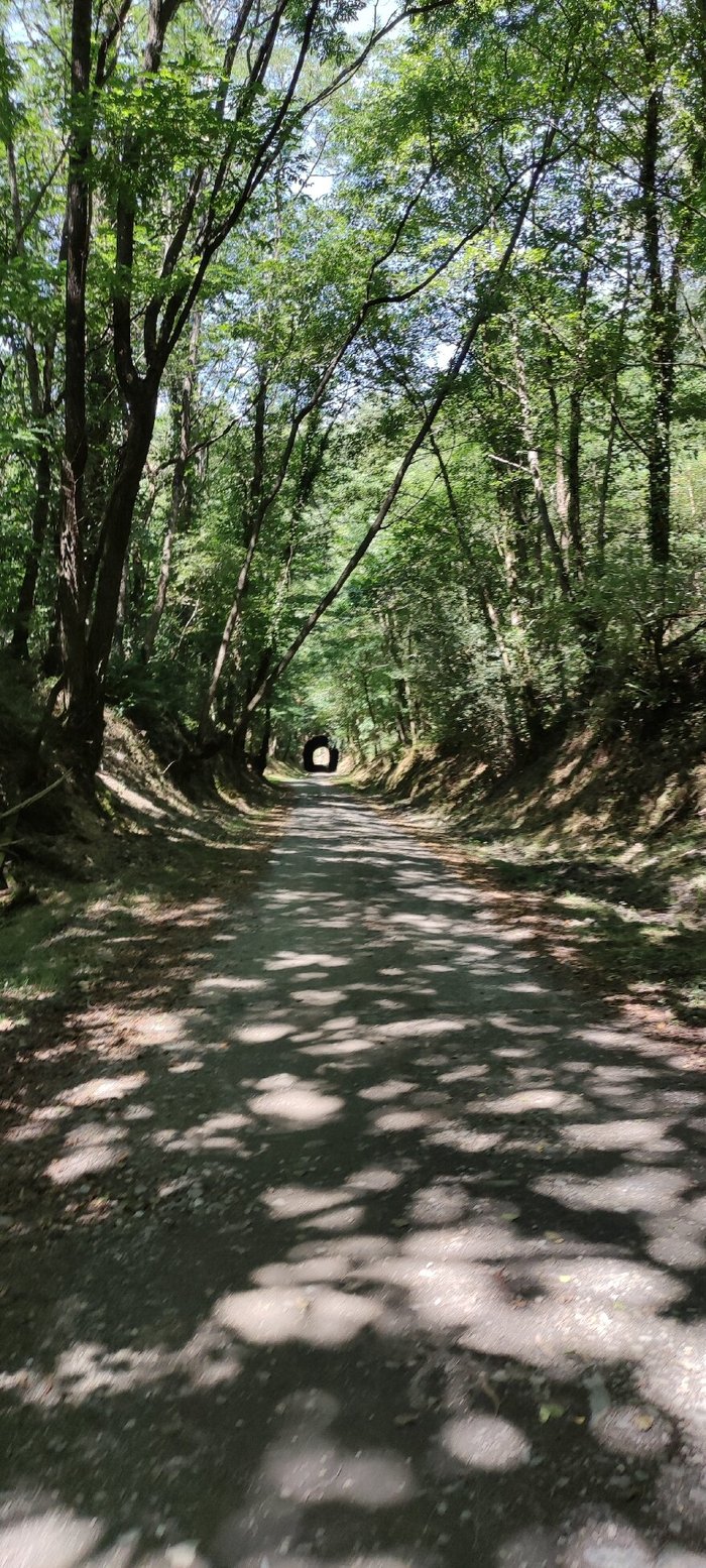 Imagen 8 de Vía verde del Plazaola