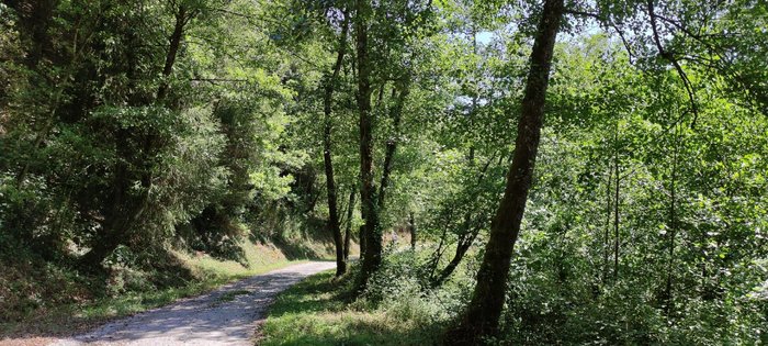 Imagen 5 de Vía verde del Plazaola