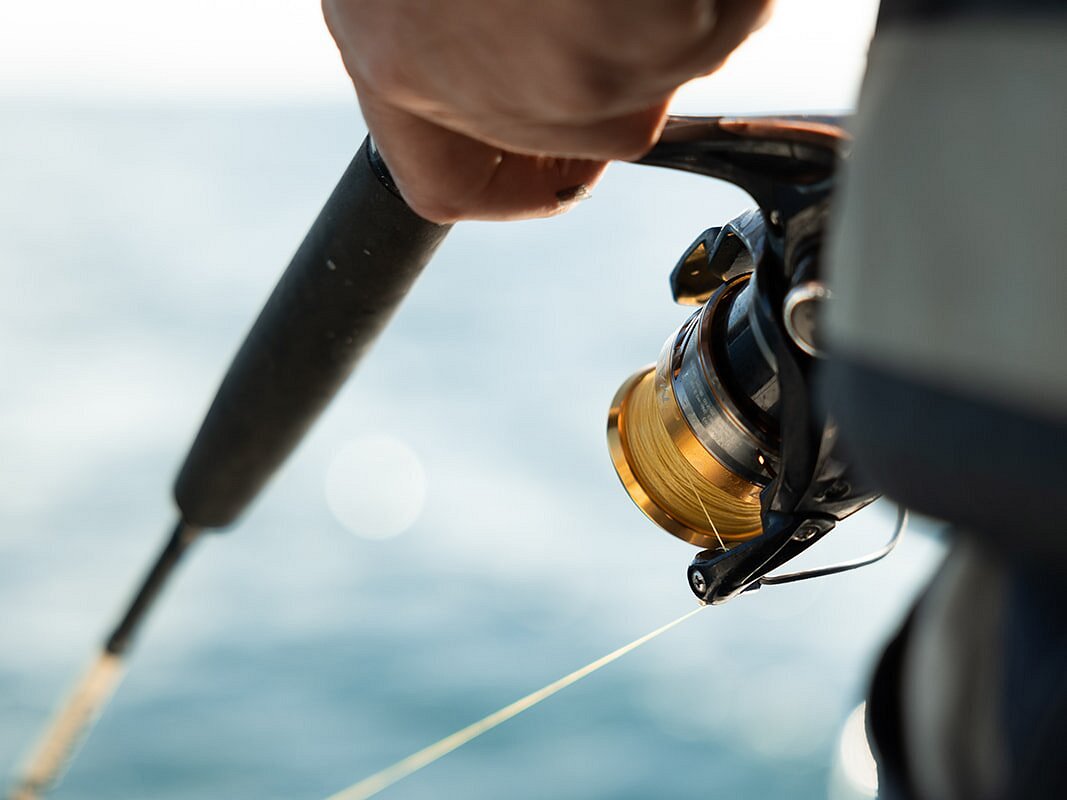 Reef Encounters Fishing Charters (Marion Bay) - All You Need to Know ...