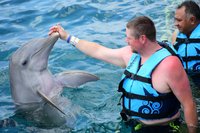 Dolphin Discovery Cozumel - All You Need to Know BEFORE You Go