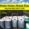 Agen madu akasia