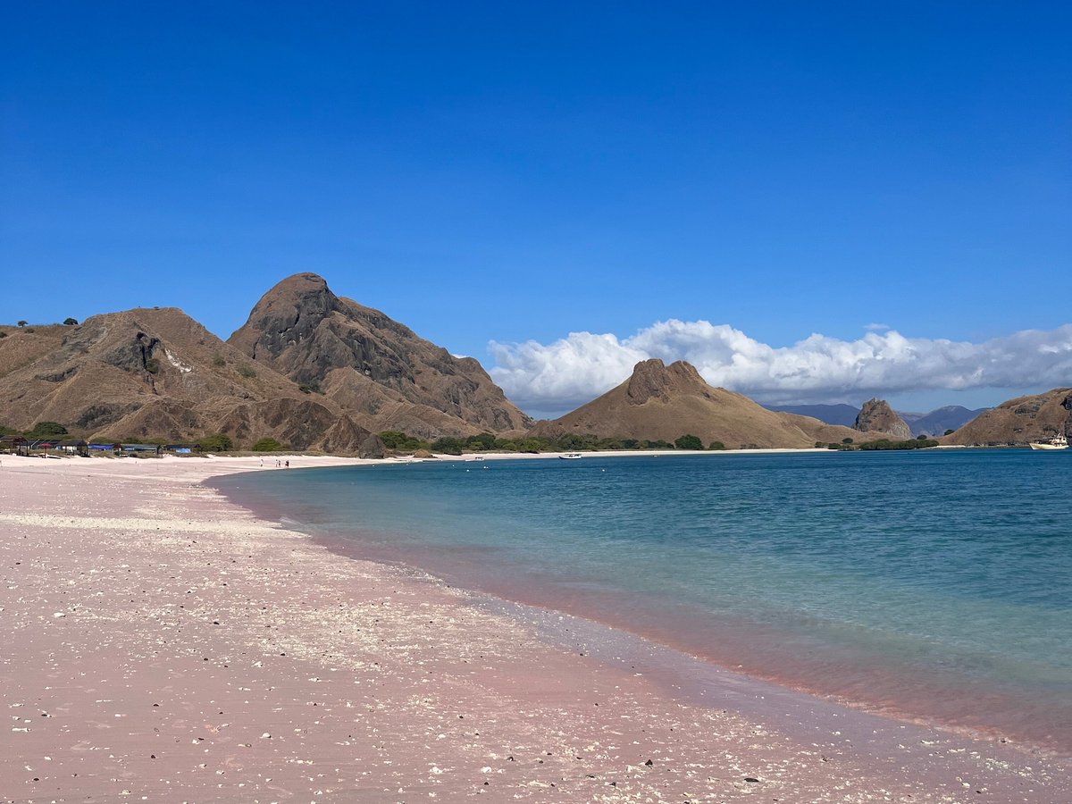 Indonesian Komodo Tours (Labuan Bajo) - All You Need to Know BEFORE You Go