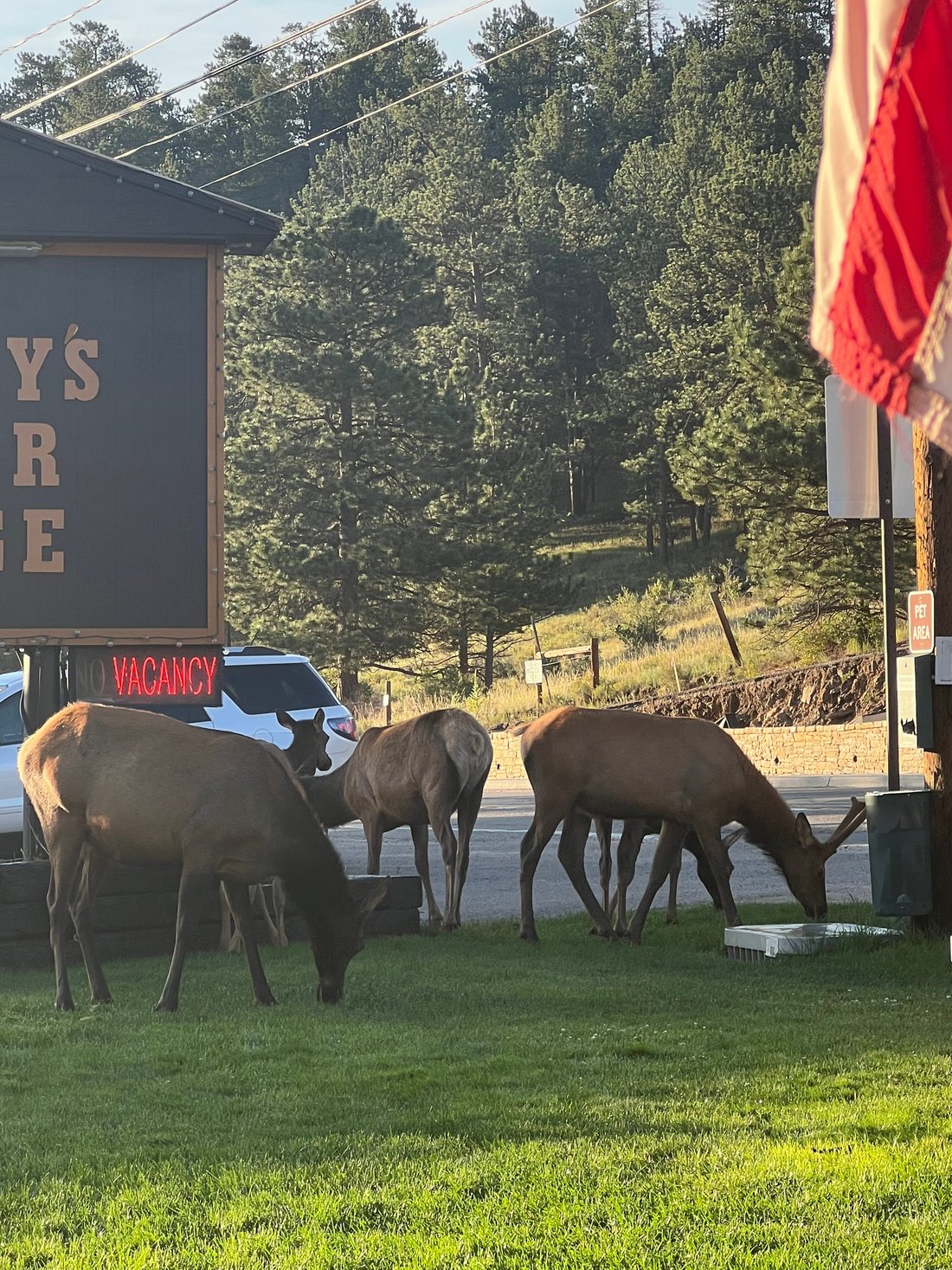 MURPHY'S RIVER LODGE - Updated 2022 Prices & Motel Reviews (Estes Park, CO)