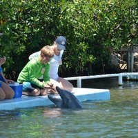 Dolphin Research Center (Grassy Key) - All You Need to Know BEFORE You Go