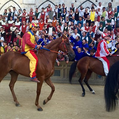 Palio di Siena horse festival in Italy during summer