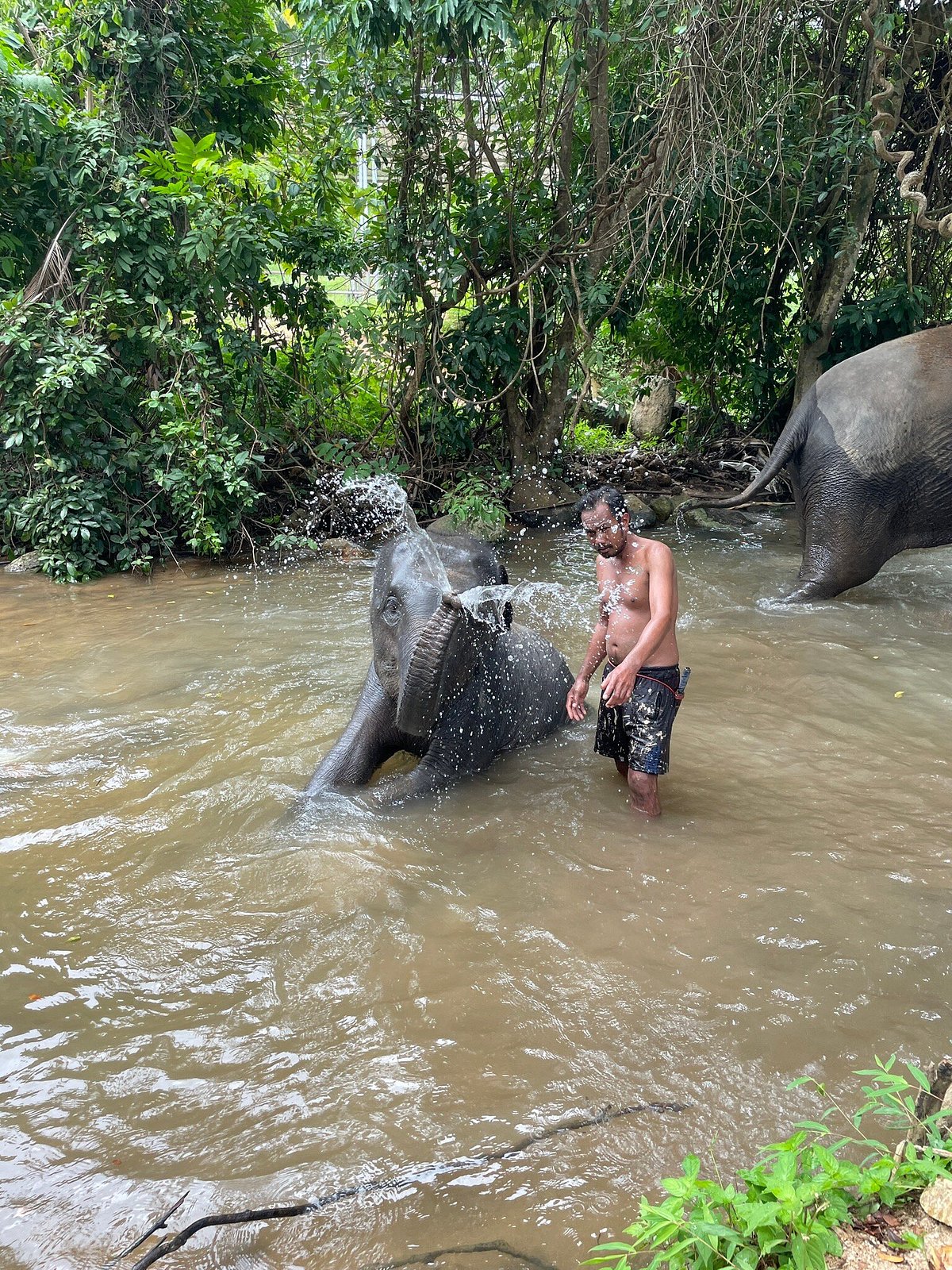 Samui Elephant Spa, Самуй: лучшие советы перед посещением - Tripadvisor