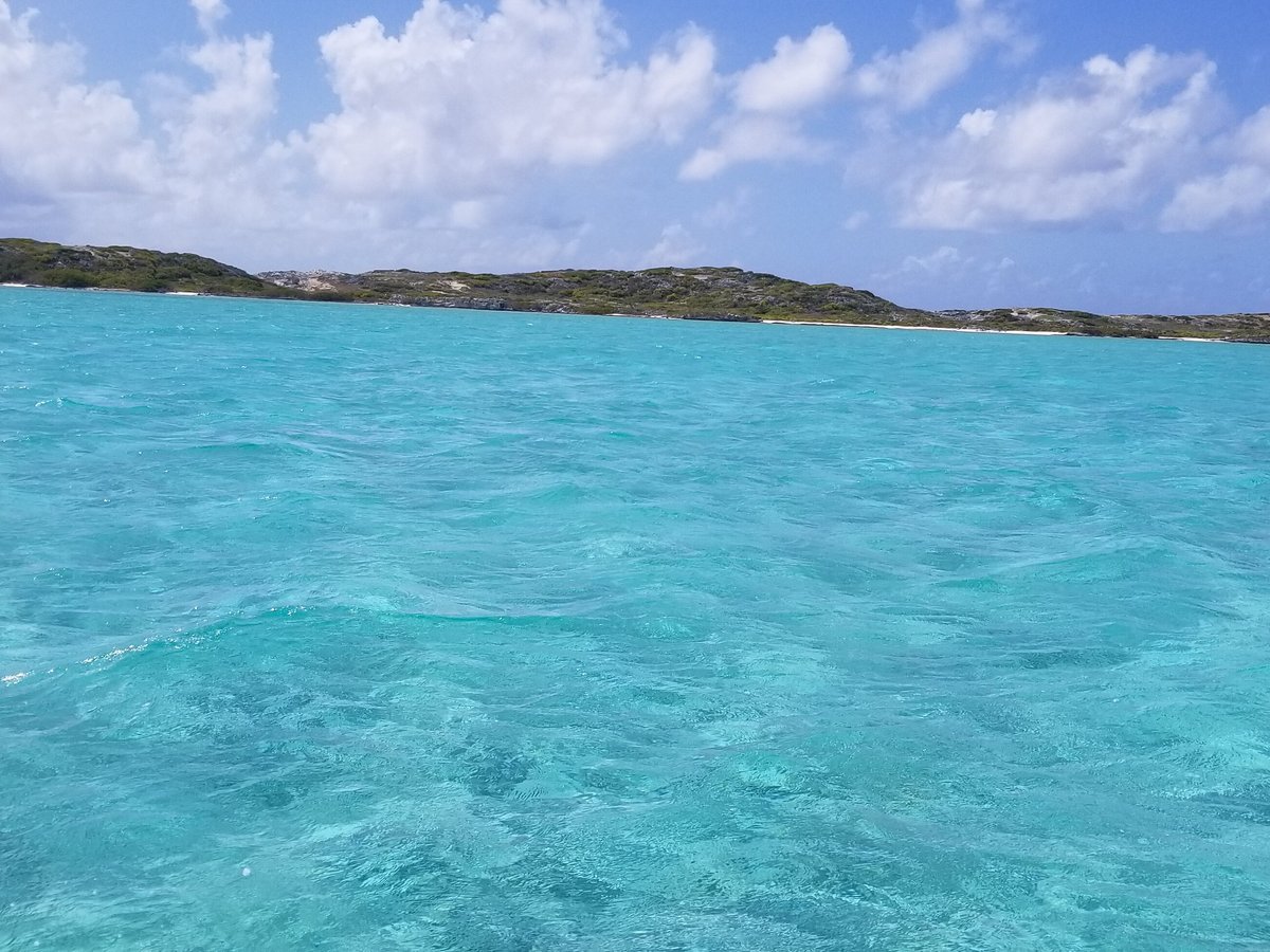 Catchin' Caicos (Providenciales) - All You Need to Know BEFORE You Go