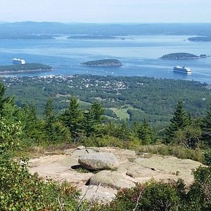 bus tours acadia