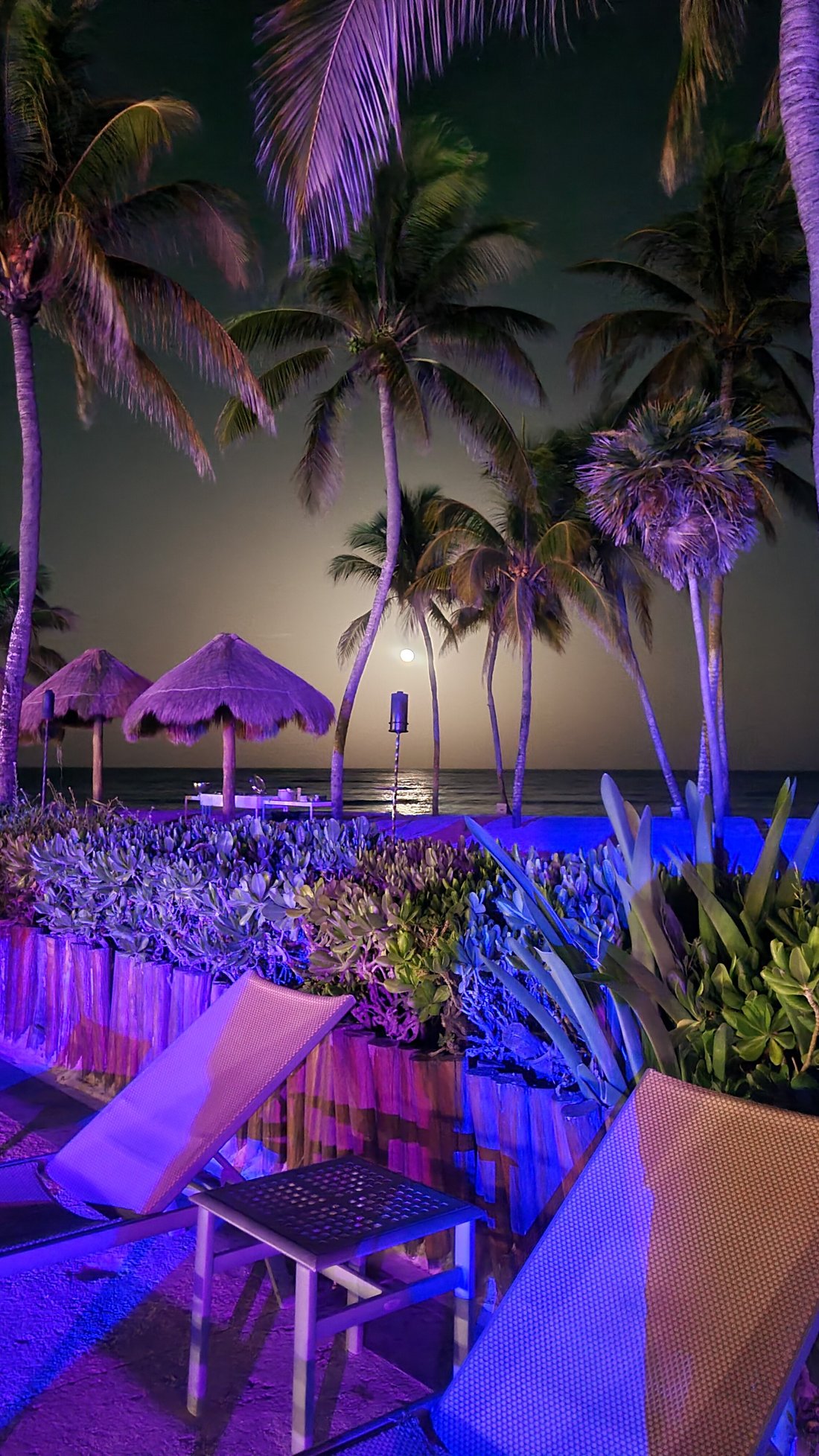 Dreams Tulum Resort & Spa UPDATED 2022 Prices, Reviews & Photos