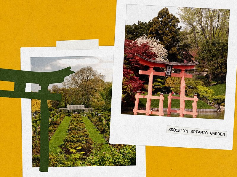 Brooklyn Botanic Garden