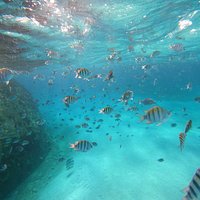 5 in 1 cancun snorkeling tour