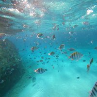 5 in 1 cancun snorkeling tour