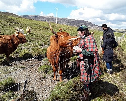 tour guide in scotland