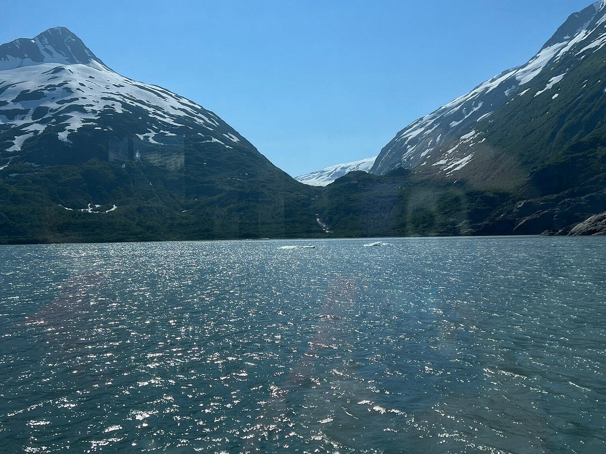 Portage glacier tour coupon