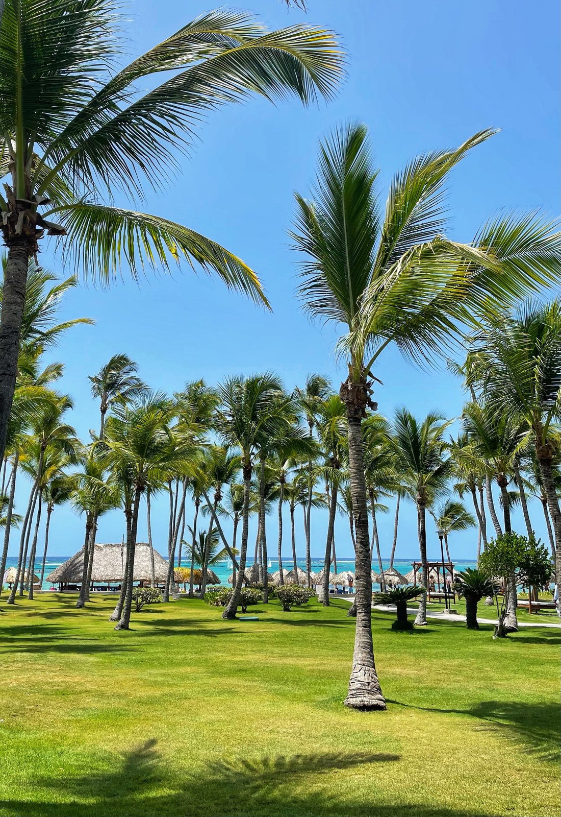 Club Med Punta Cana Resort (République dominicaine) tarifs 2022 mis à jour, 11 487 avis et 13