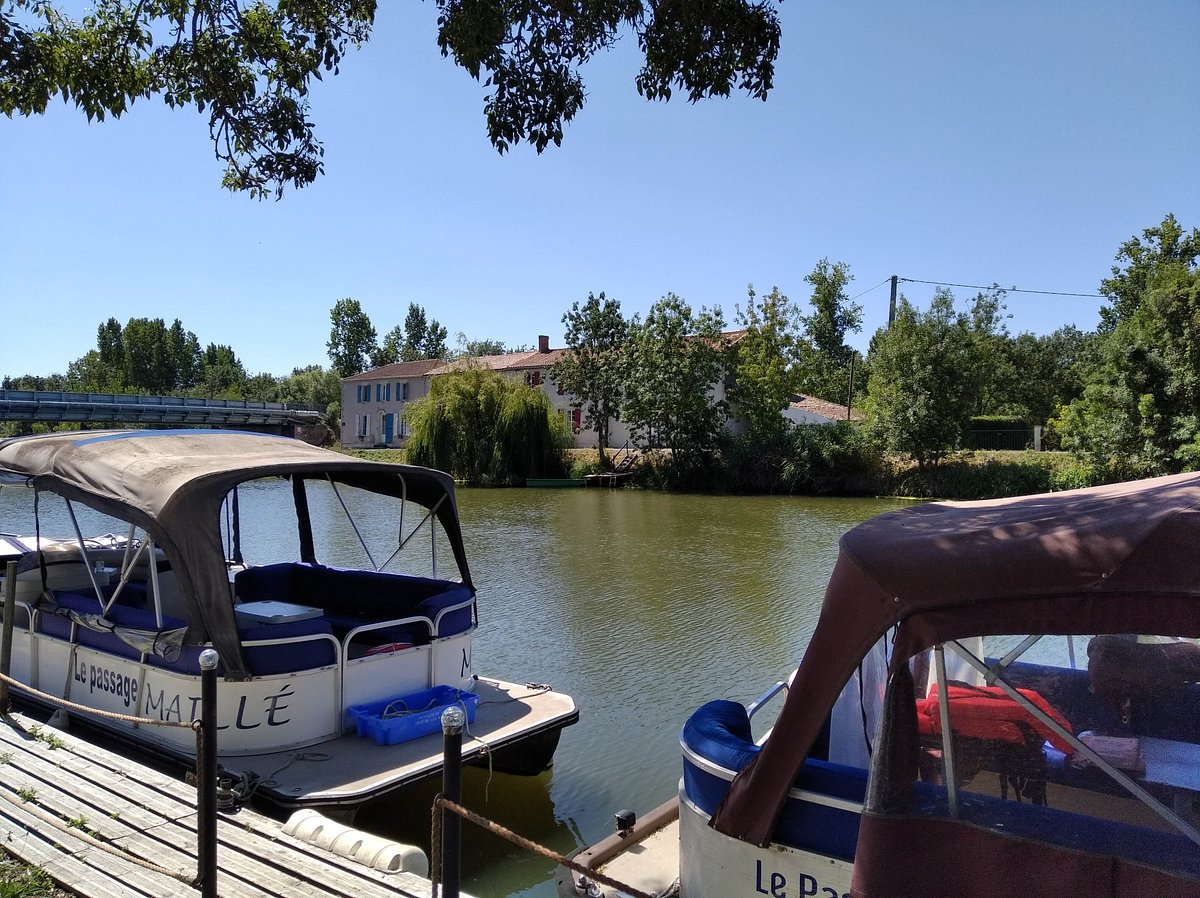 Boissons et apéritifs - Visitez la Maison du Marais poitevin : explorez la  Venise Verte