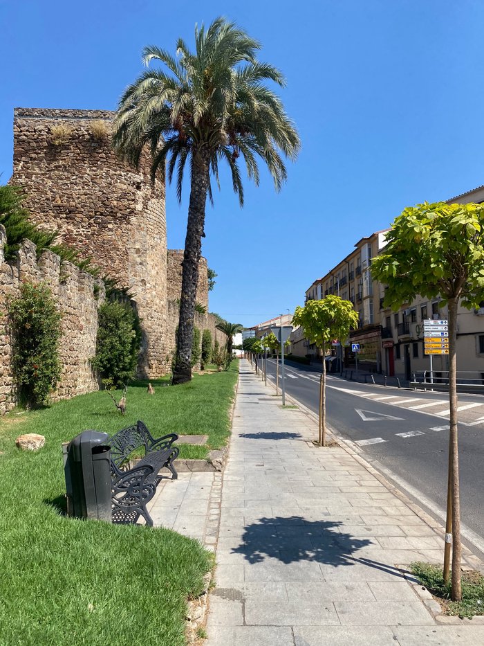 Imagen 14 de Ciudad de Plasencia