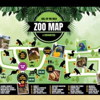 call of the wild zoo woodham