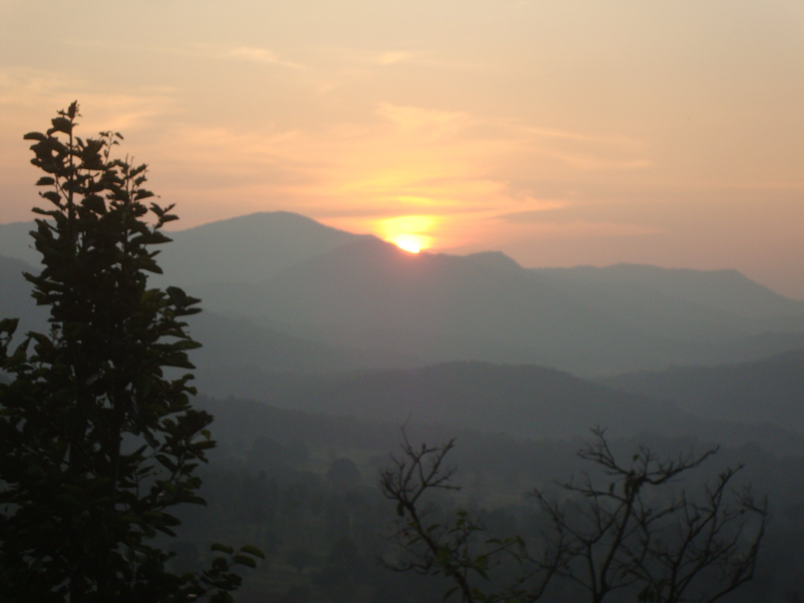 Daringbadi Nature Camp Rooms: Pictures & Reviews - Tripadvisor