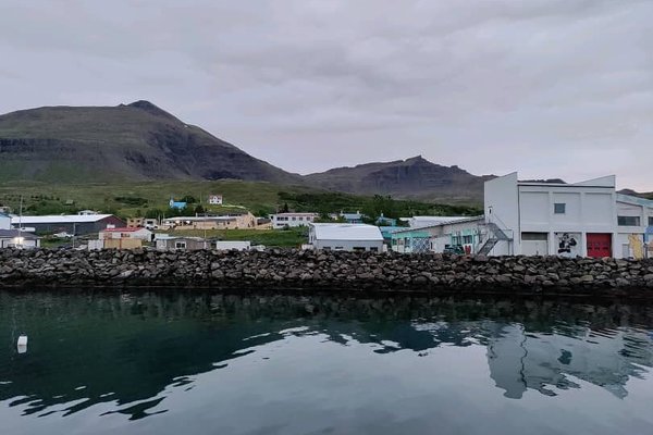 View from harbor