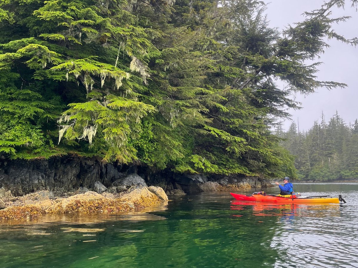 Sitka Sound Ocean Adventures - All You Need To Know Before You Go