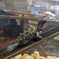 Tybee Island Marine Science Center - All You Need to Know BEFORE You Go