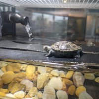 Tybee Island Marine Science Center - All You Need to Know BEFORE You Go