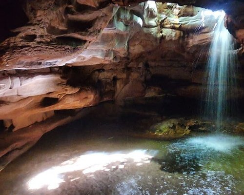 Fãs poderão encontrar personagens de 'Hora da Aventura', em Manaus - Portal  Amazônia