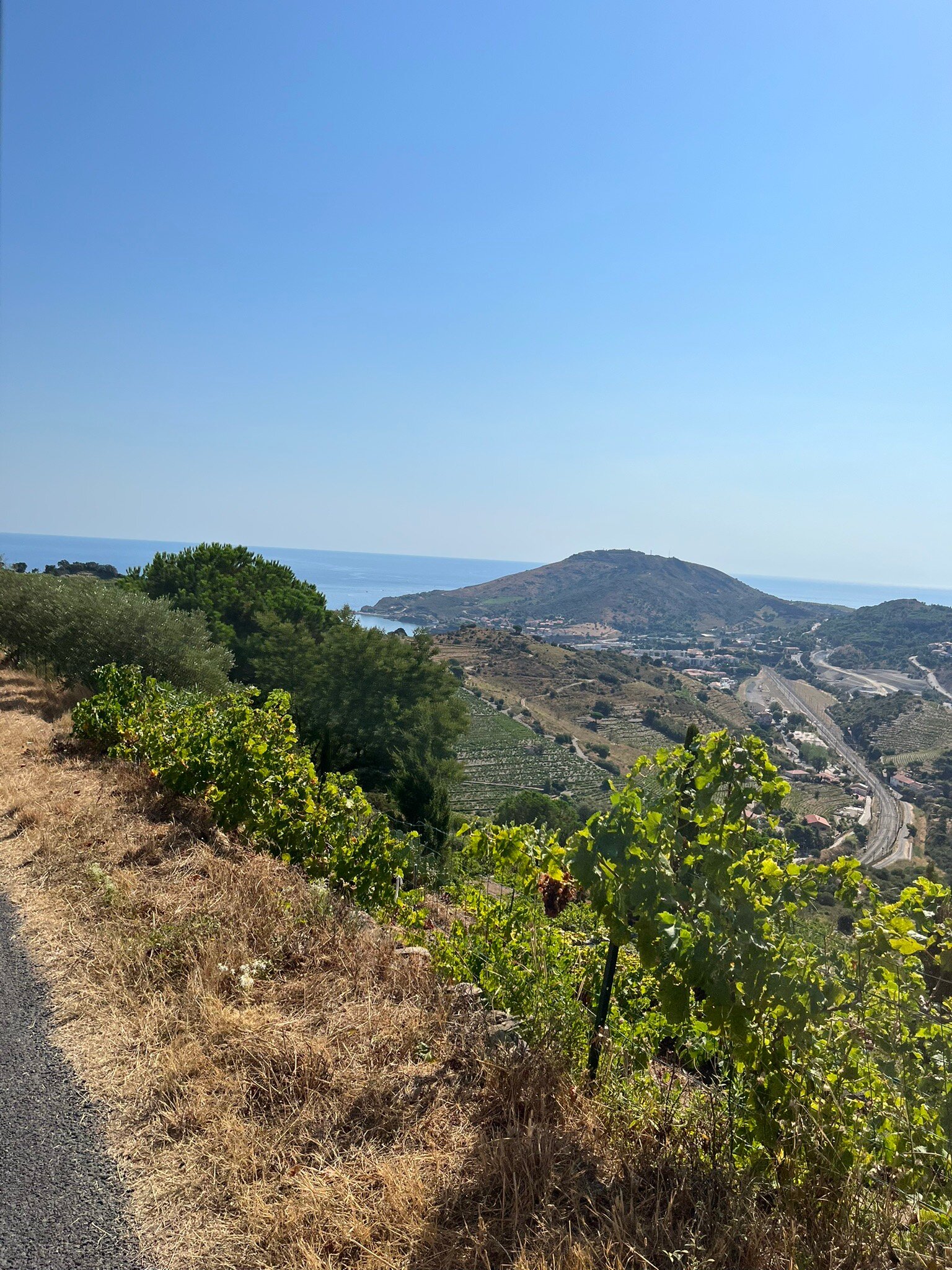 Le Petit Train Touristique De La Cote Vermeille (Collioure) - Lohnt Es ...