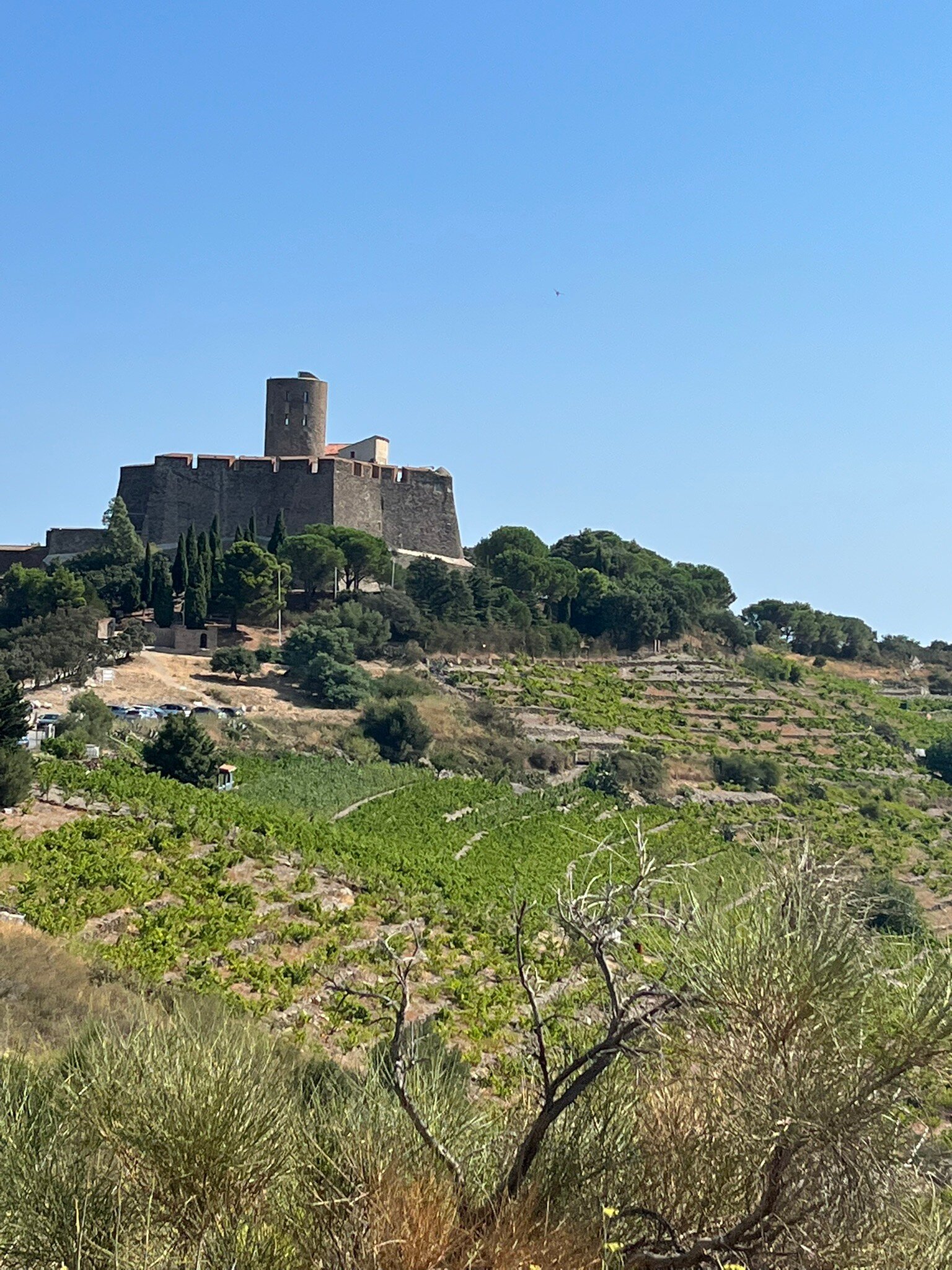 Le Petit Train Touristique De La Cote Vermeille (Collioure) - Lohnt Es ...