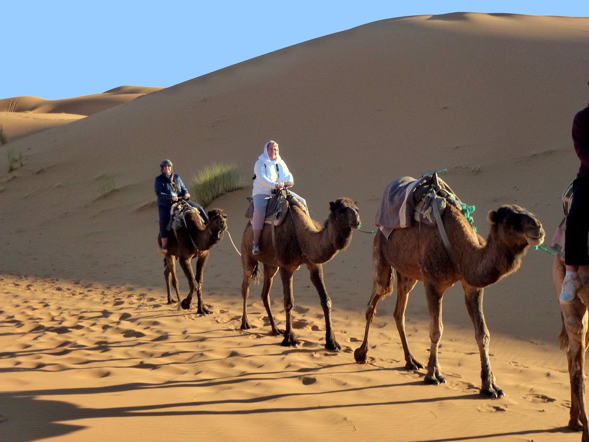 LA VALLÉE DES DUNES (Мерзуга) - отзывы, фото и сравнение цен - Tripadvisor