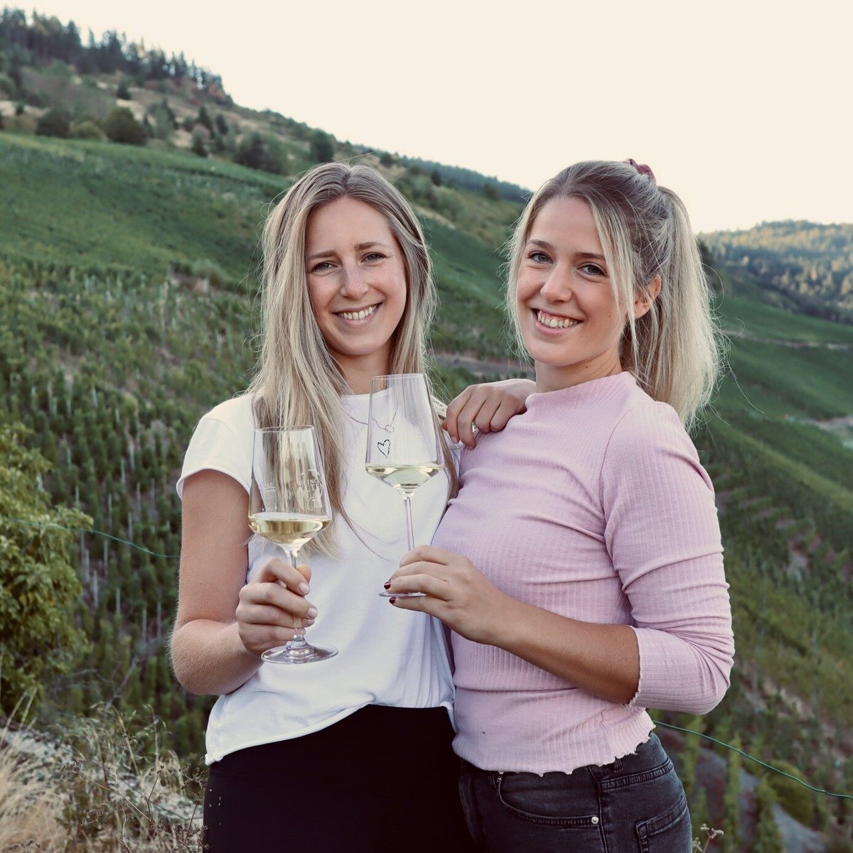 WEINGUT ALTEN Tutto quello che c'è da sapere (2025)