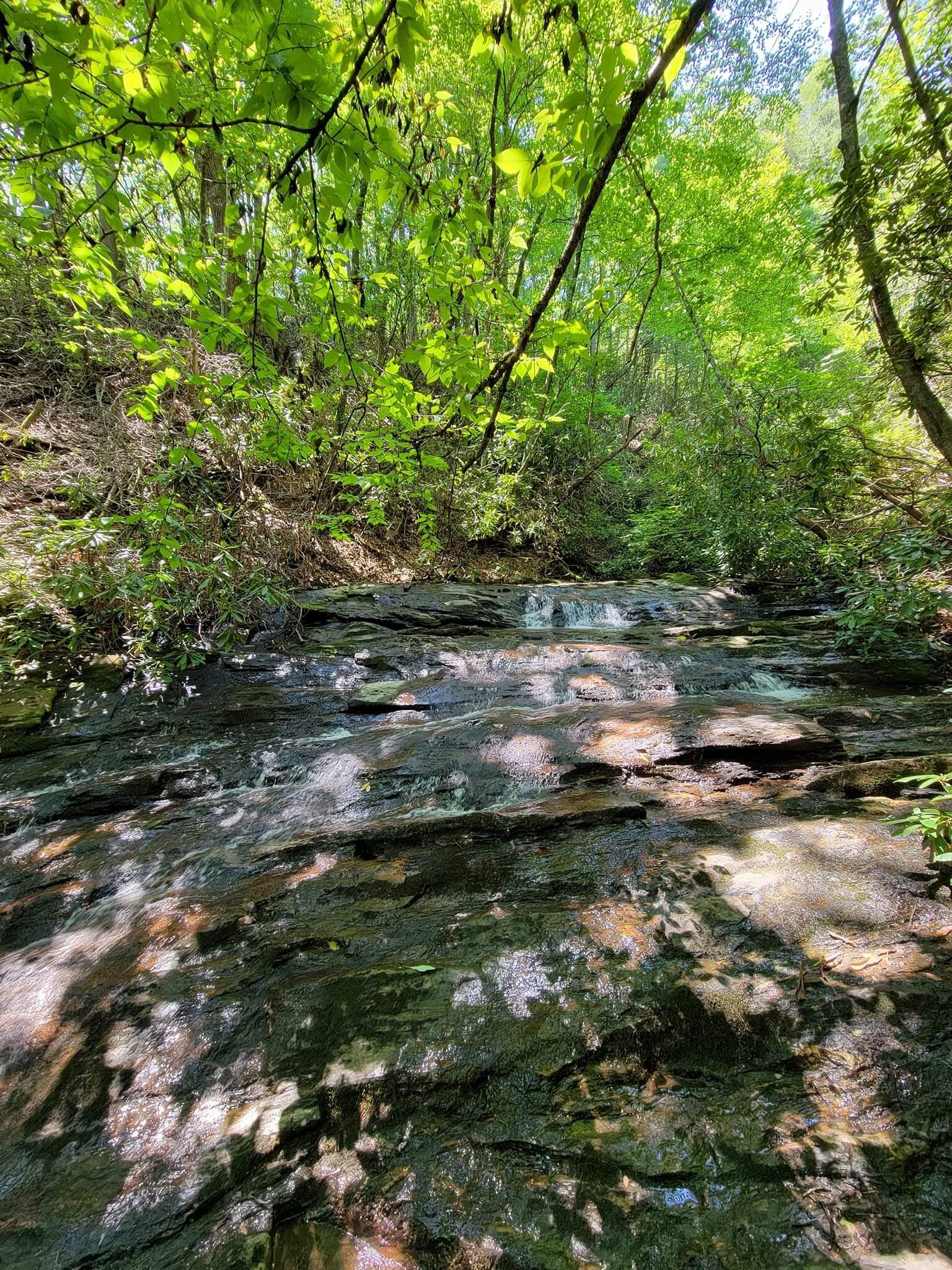 Bear den store campground