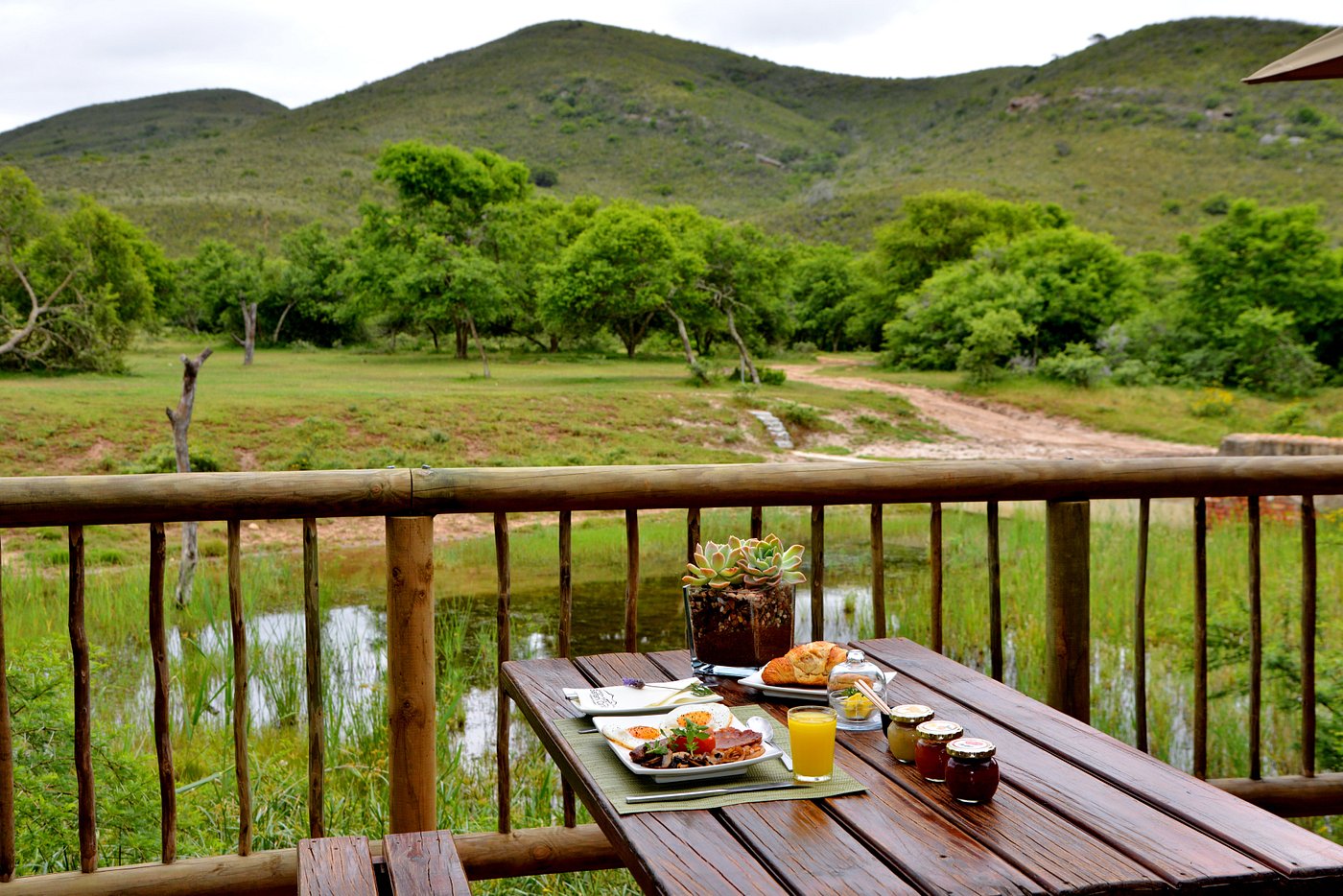 safari camp mossel bay