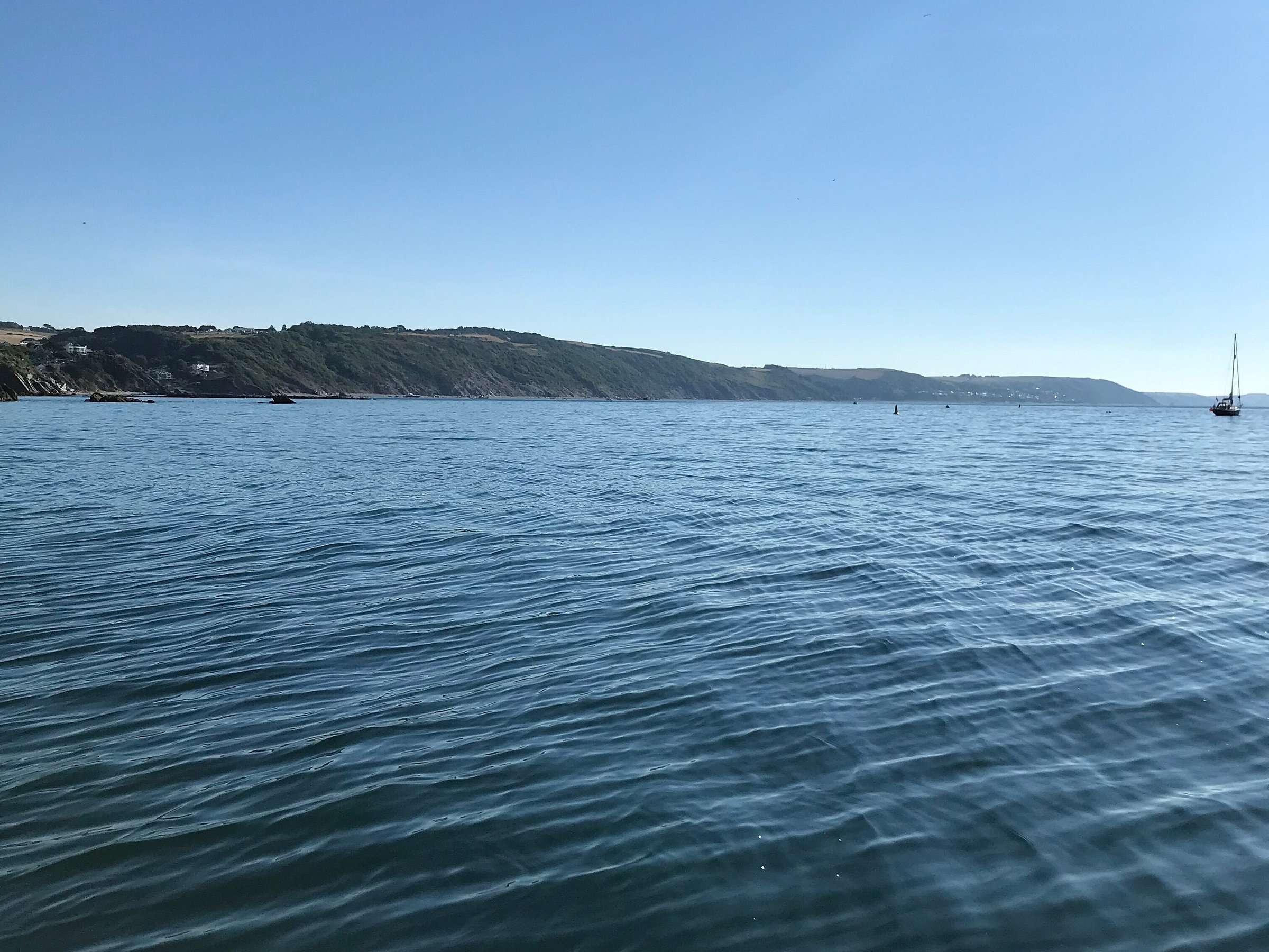 looe island boat trips 2023