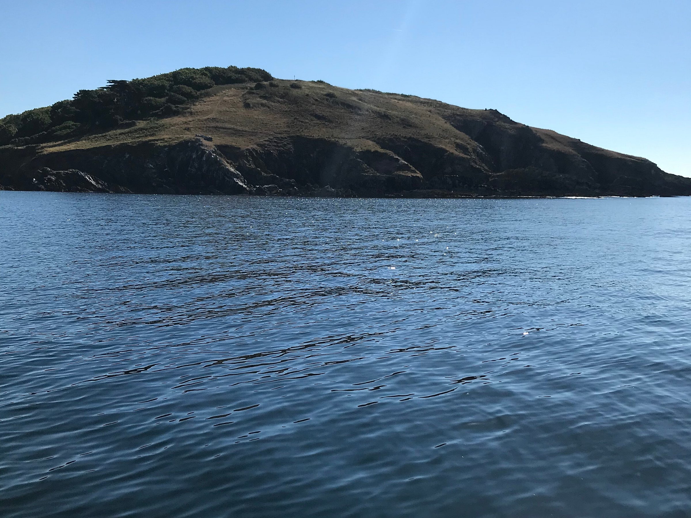 looe island boat trips 2023