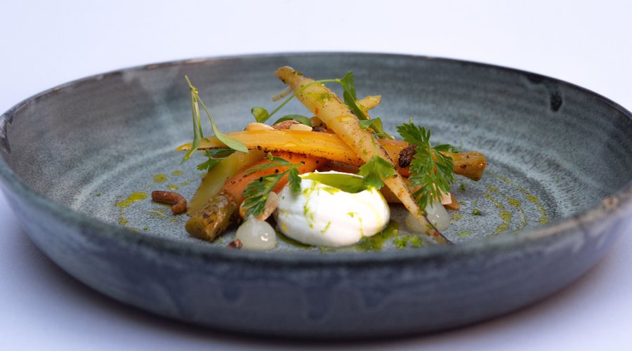 Harissa carrot tasting menu 