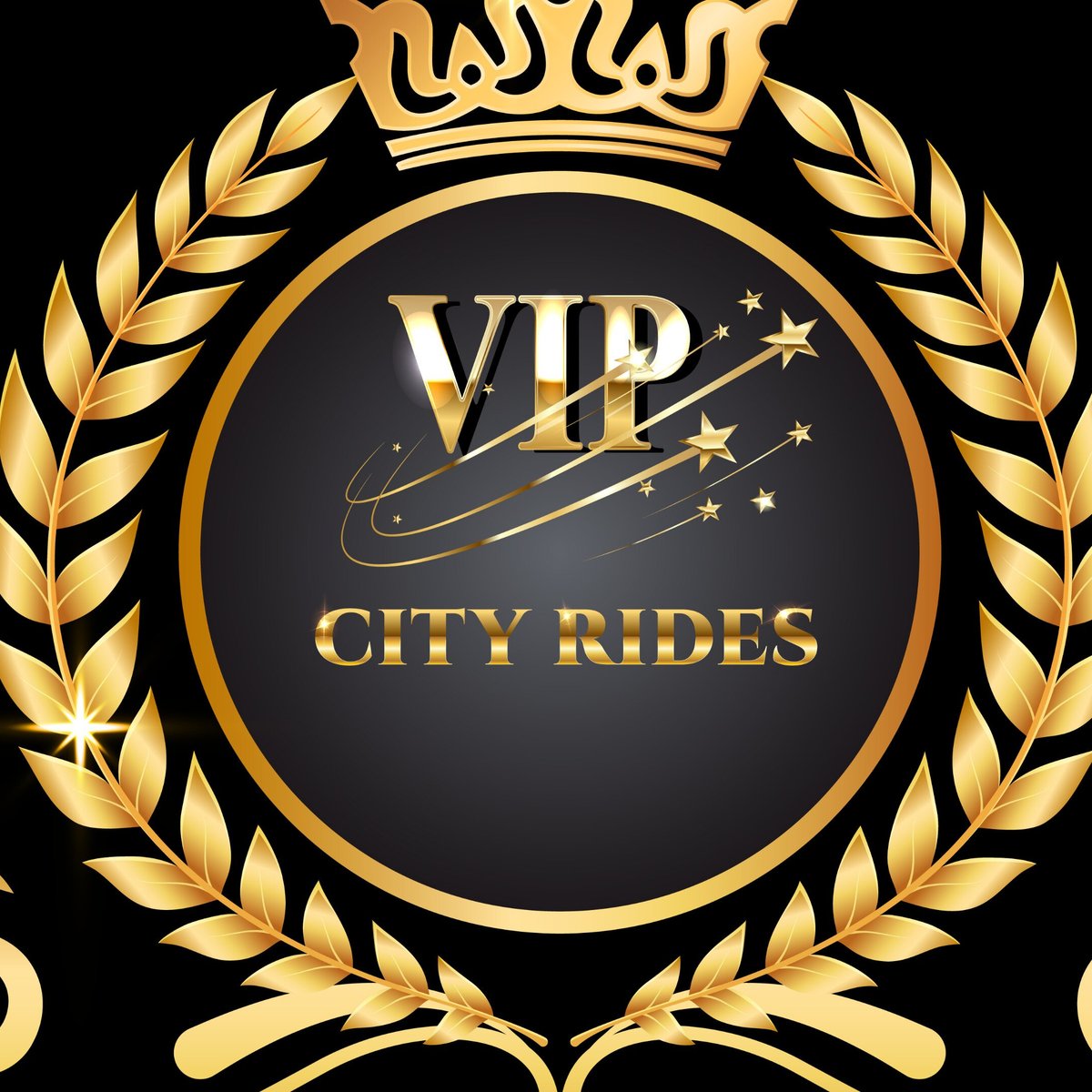 VIP CITY RIDES (2024) All You Need to Know BEFORE You Go (with Photos