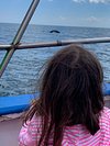 Al Gauron Deep Sea Fishing & Whale Watching - Up To 45% Off - Hampton Beach,  NH