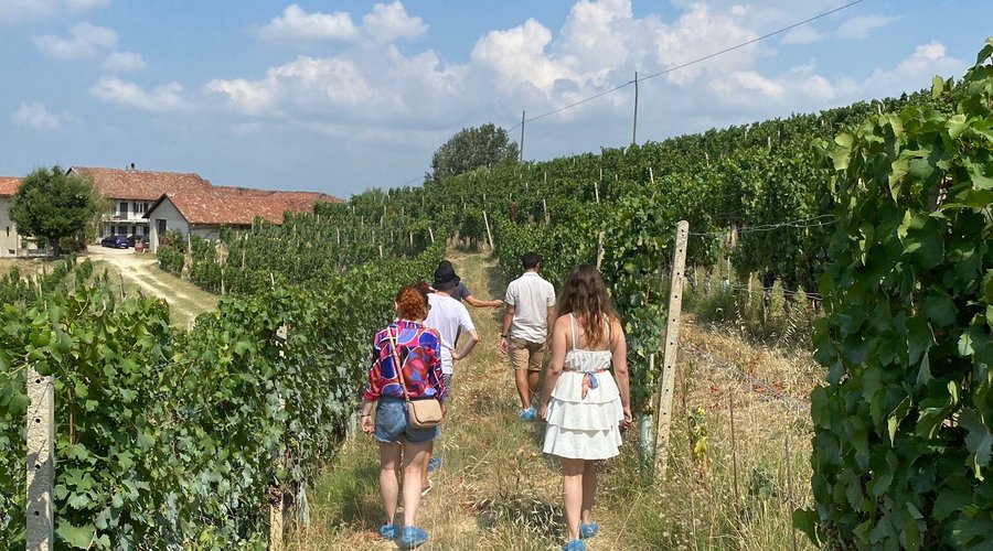 Foto durante la degustazione